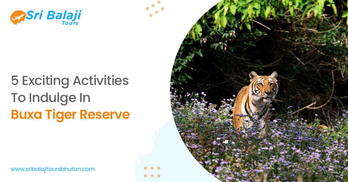 5 Exciting Activities To Indulge In Buxa Tiger Reserve