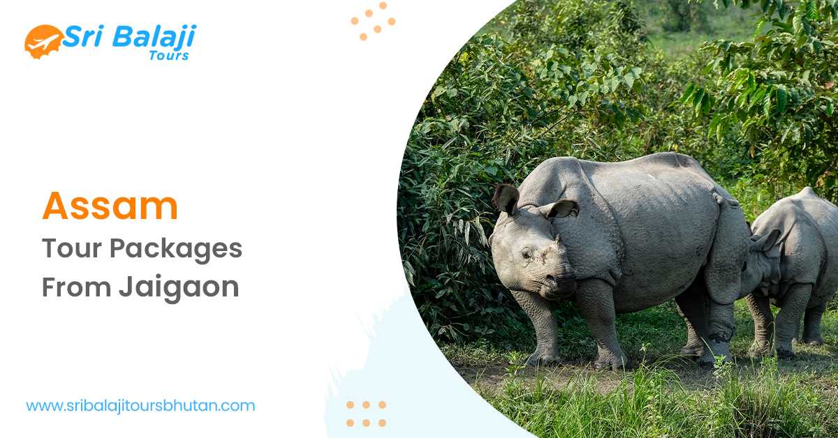 Assam Tour Packages From Jaigaon