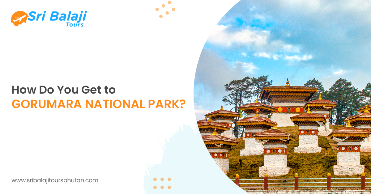 How Do You Get to Gorumara National Park?