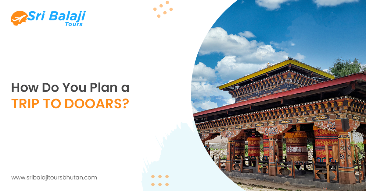 How Do You Plan a Trip to Dooars?